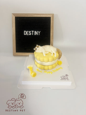 Emoji Cookie Pet Cake，Pet Birthday Cake, Pet Cake，Dog&Cat Birthday Cake