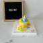 Bath Time Pet Cake，Pet Birthday Cake, Pet Cake，Dog&Cat Birthday Cake
