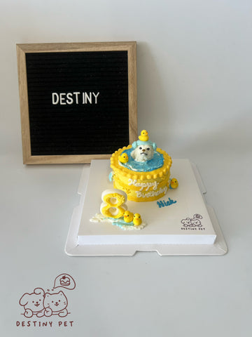 Bath Time Pet Cake，Pet Birthday Cake, Pet Cake，Dog&Cat Birthday Cake