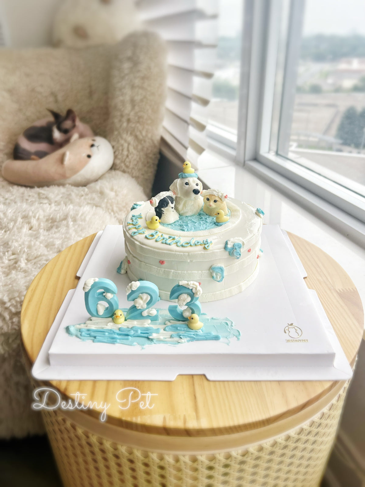 Bath Time Pet Cake，Pet Birthday Cake, Pet Cake，Dog&Cat Birthday Cake