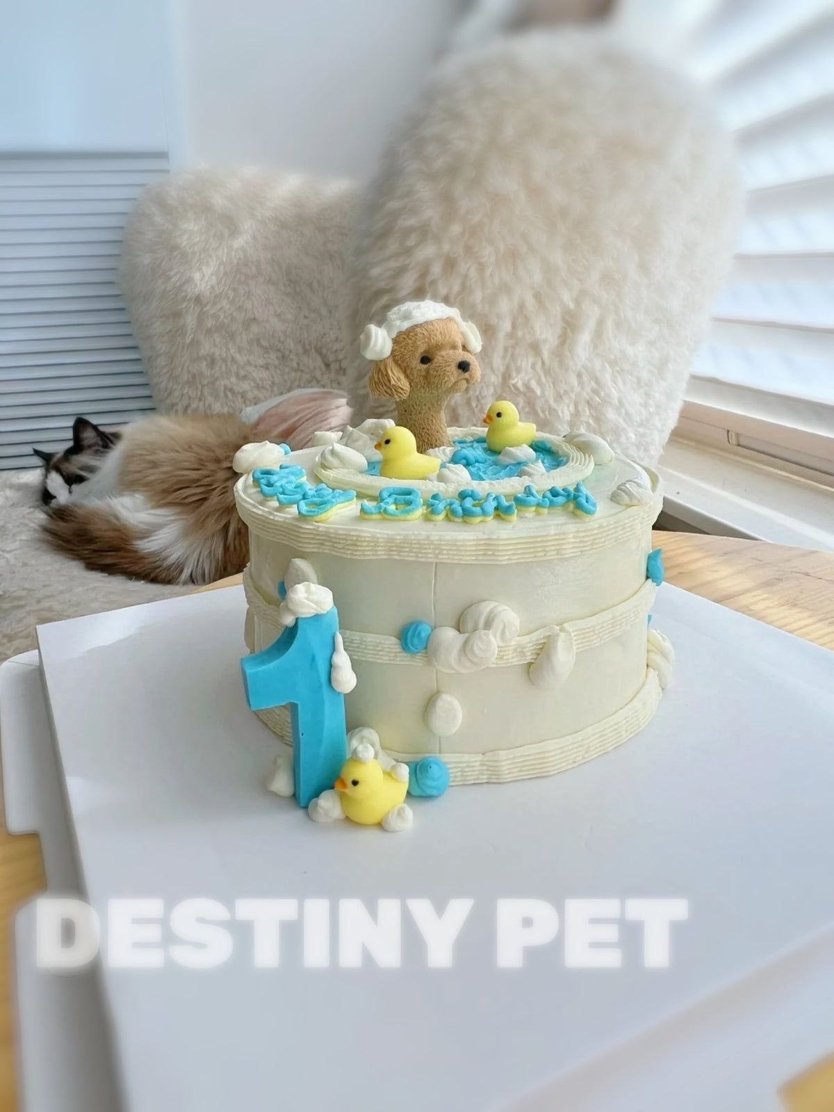 Bath Time Pet Cake，Pet Birthday Cake, Pet Cake，Dog&Cat Birthday Cake