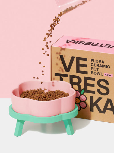 VETRESKA Ceramic Raised Pet Bowl Elevated Pet Food Water Bowl Stand Pink Pet Feeding Dish