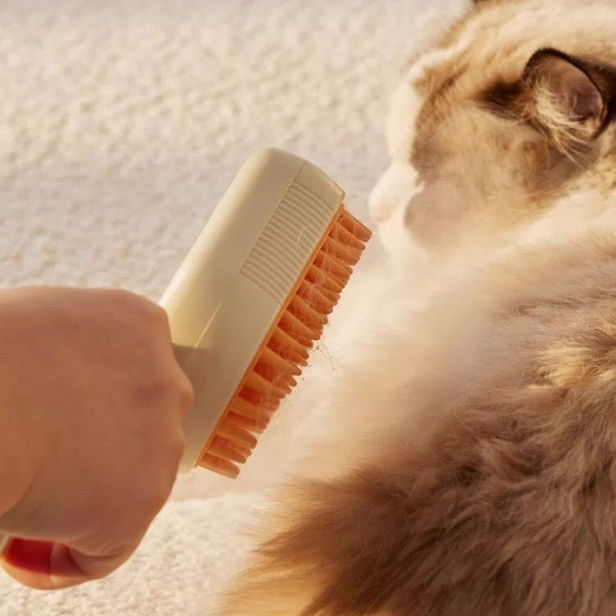 Steam Silicone Cat Grooming Brush used to groom a cat