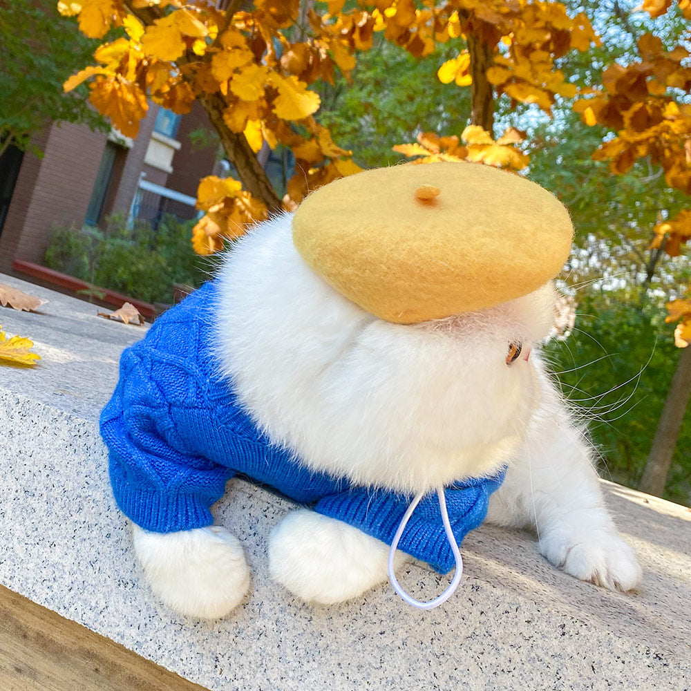 White cat wearing a mustard yellow felt beret outdoors