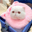 White cat wearing a pink pig plush pet neck warmer outdoors