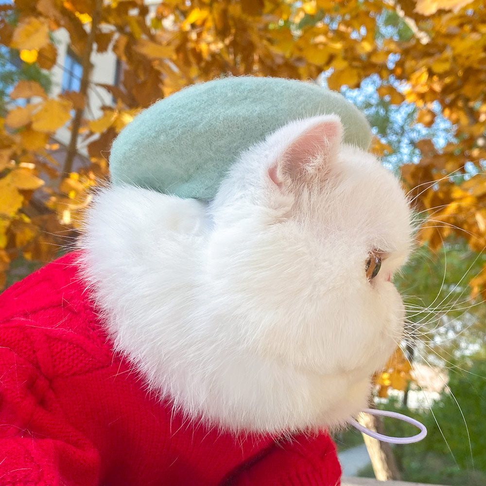 White cat wearing a sage green felt beret outdoors
