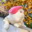 White cat wearing a pink felt beret outdoors