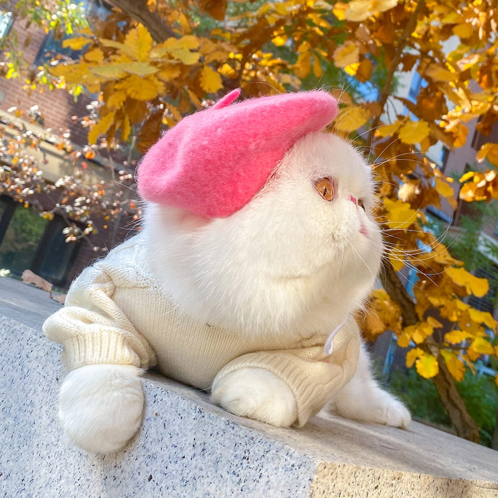 White cat wearing a pink felt beret outdoors