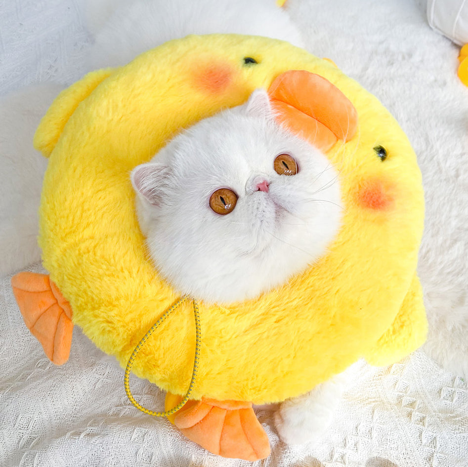 Duck plush pet recovery collar detail photo