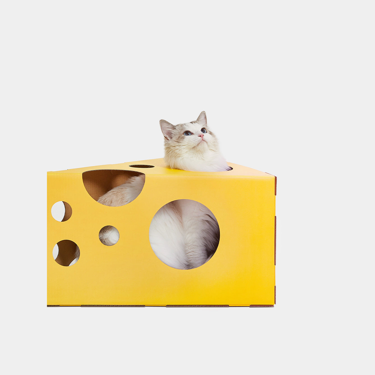 VETRESKA CHEESE CAT SCRATCHING BOX image 2