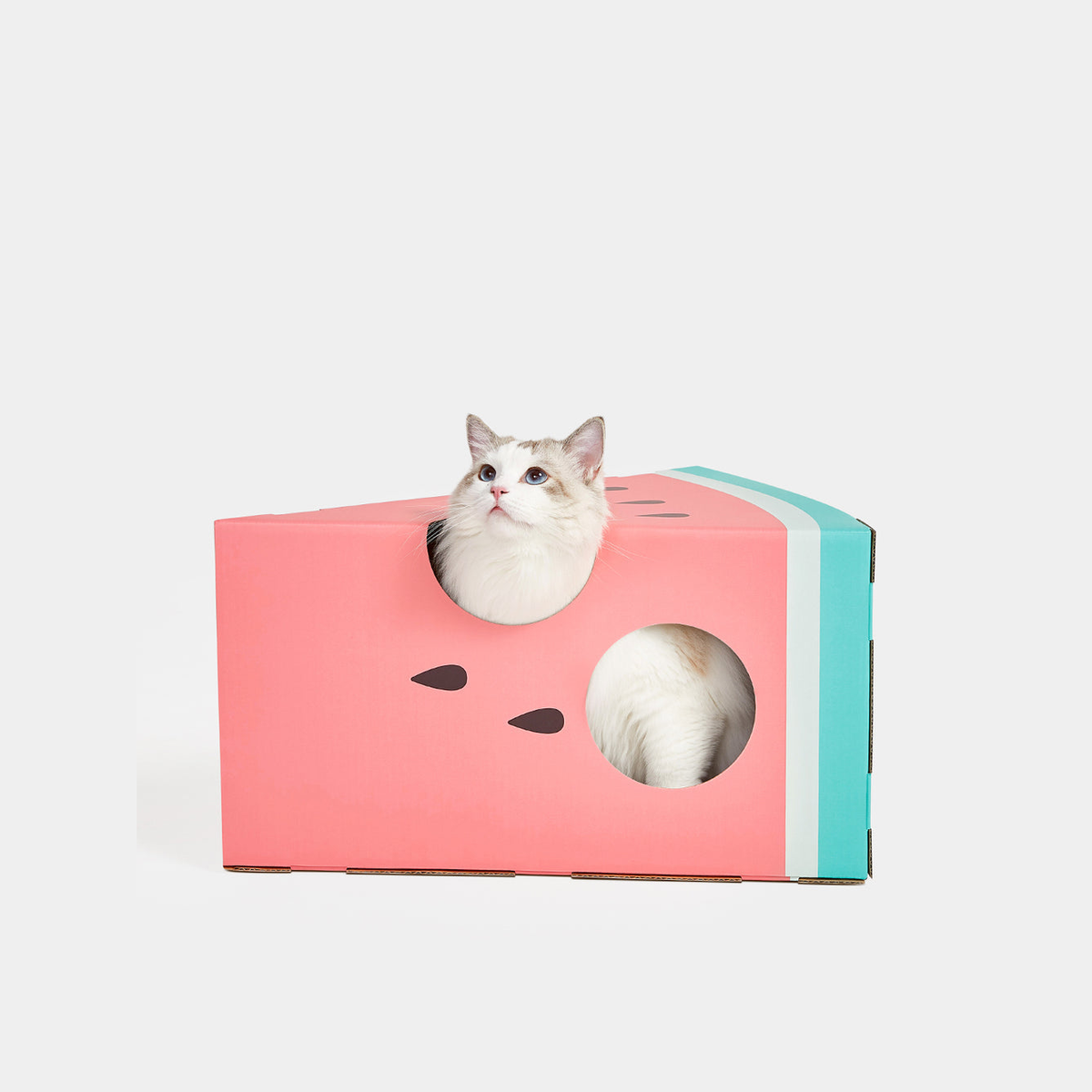 VETRESKA WATERMELON SCRATCHING BOX-pd image 2