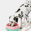 VETRESKA Ceramic Raised Pet Bowl Elevated Pet Food Water Bowl Stand Pink Pet Feeding Dish