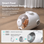 AIWO capsule pet carrier food tray and petting opening [Gallery: Detail]