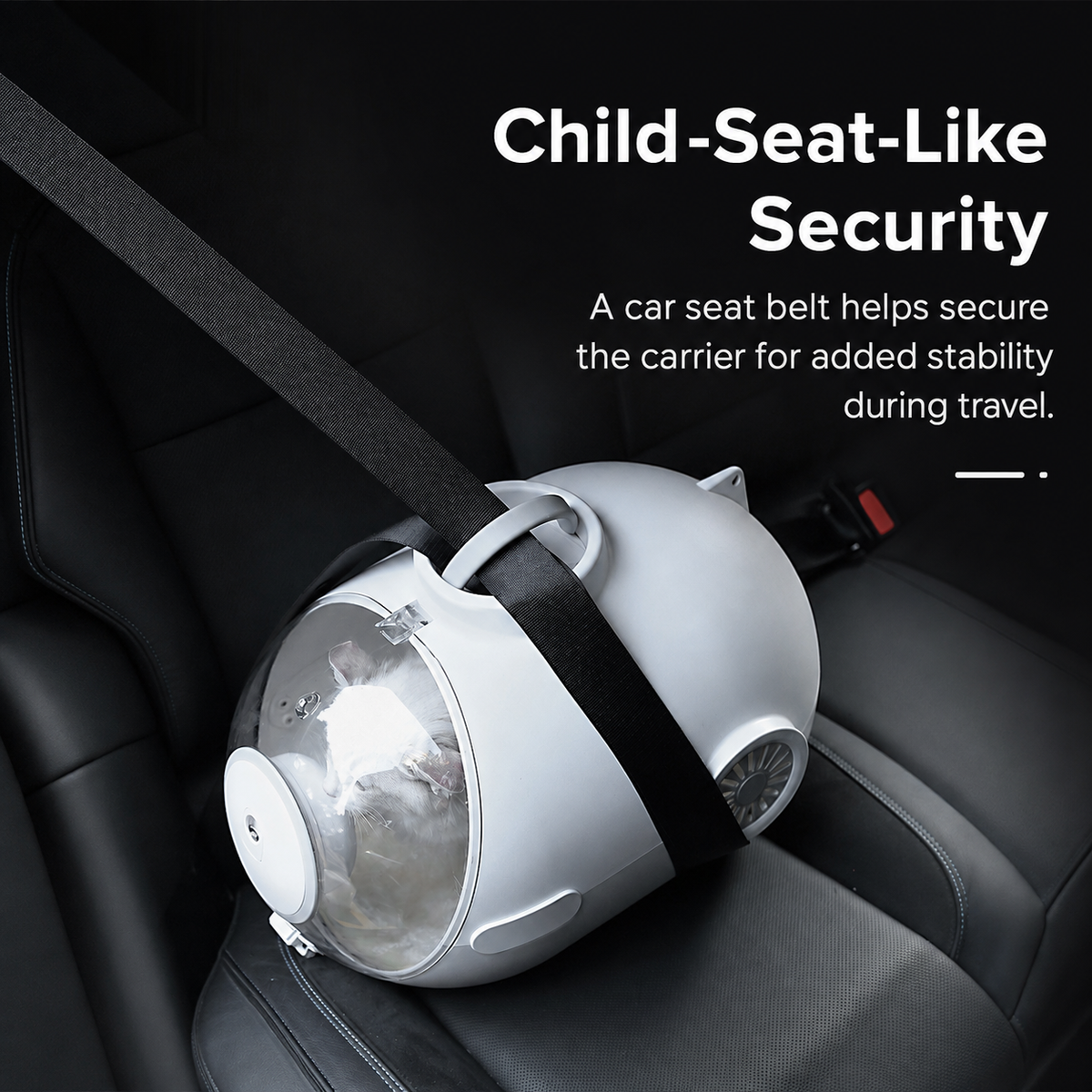 AIWO capsule pet carrier car seat belt security [Gallery: Detail]
