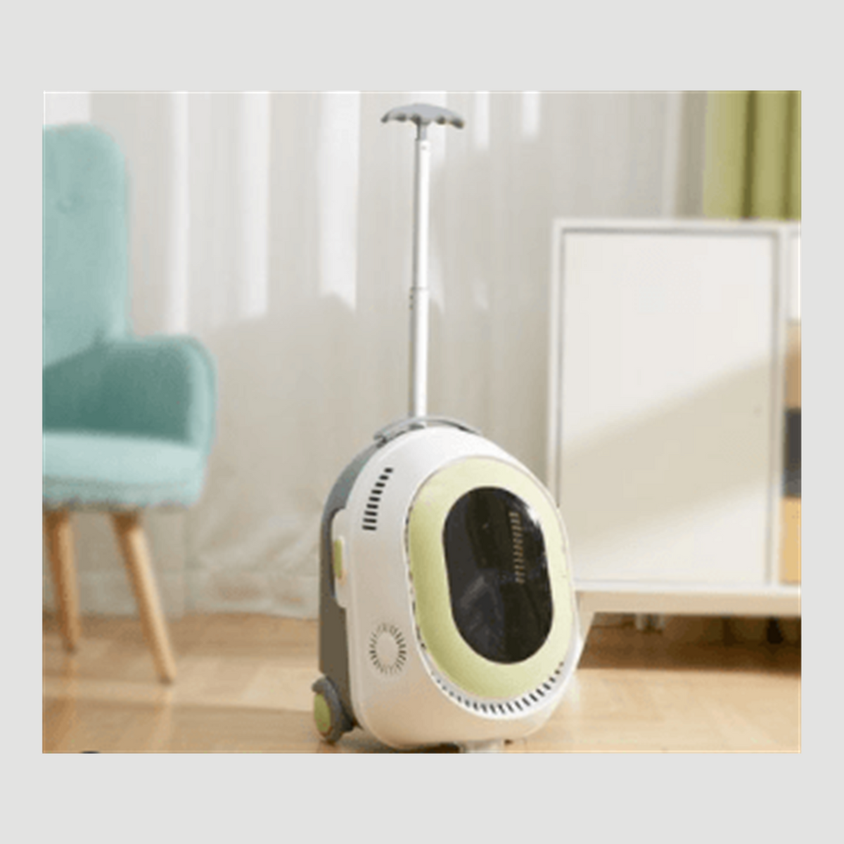 AIWO multi-function pet travel carrier green color reference [Gallery: Detail]