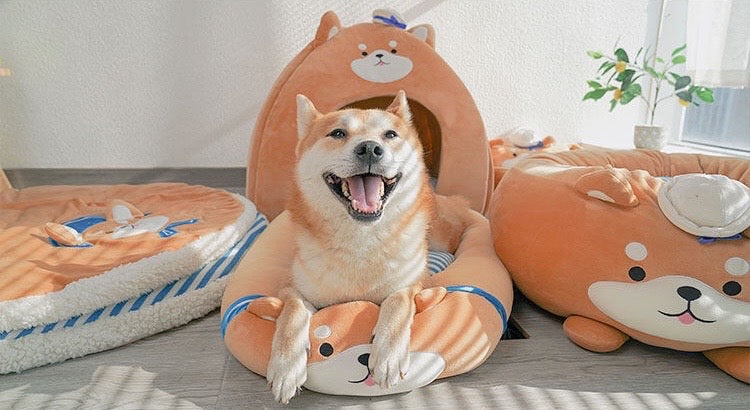 Nautical Cuddle Flop Nest