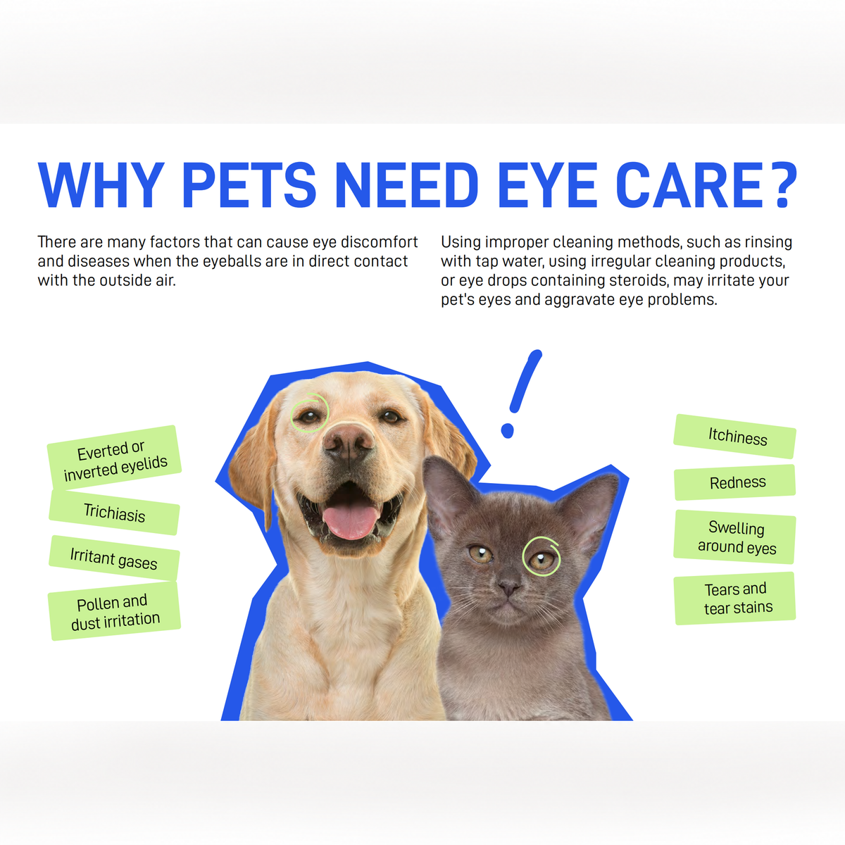 CATURE - Purelab Cat and Dog Physiological Eye Cleanser 120ml | source media 32960143982754 | content-safe square revision | TEXT_LAYOUT_REBUILD | textLayer=source-pixel-preserved | backgroundMode=locked-center-outpaint | 20260920-v1