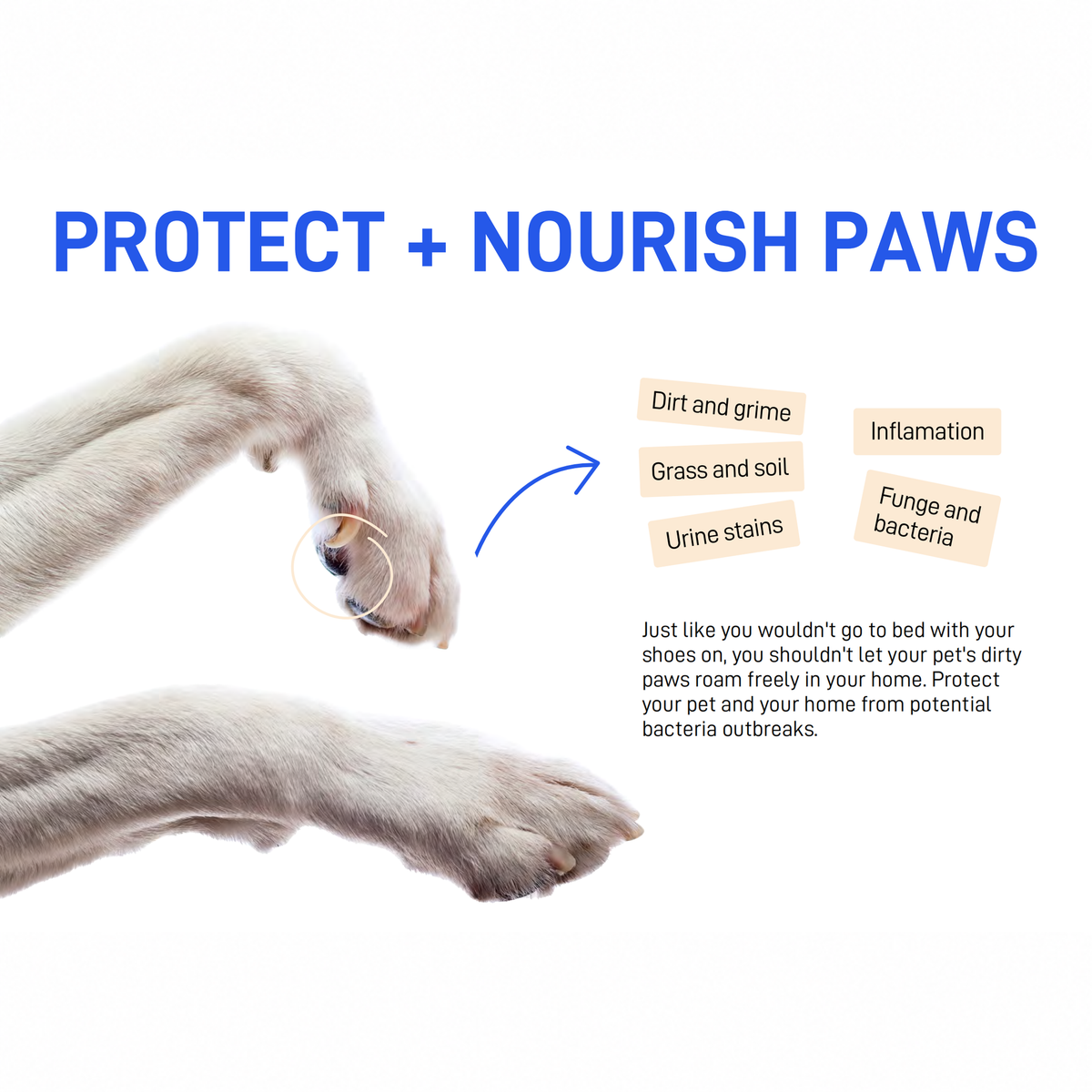 CATURE - Purelab Pet Dry Wash Paw Foam with Brush 150ml | source media 32960171835554 | content-safe square revision | TEXT_LAYOUT_REBUILD | textLayer=source-pixel-preserved | backgroundMode=locked-center-outpaint | 20260920-v1
