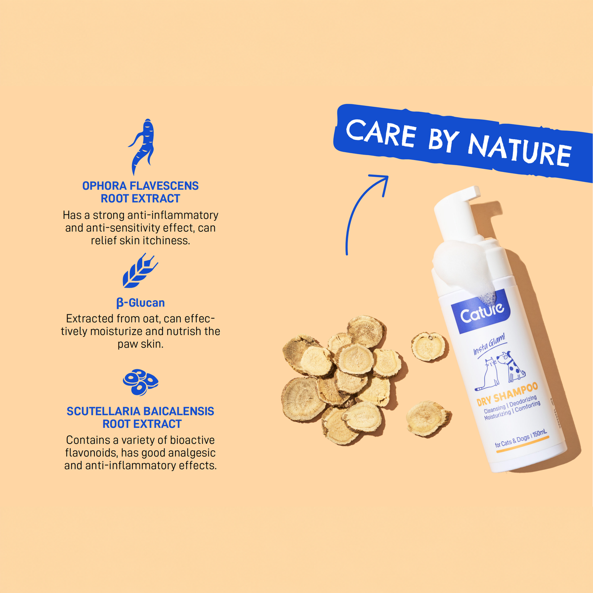CATURE - Purelab Pet Dry Wash Shampoo 150ml | source media 32960175702178 | content-safe square revision | TEXT_LAYOUT_REBUILD | textLayer=source-pixel-preserved | backgroundMode=locked-center-outpaint | 20260920-v1