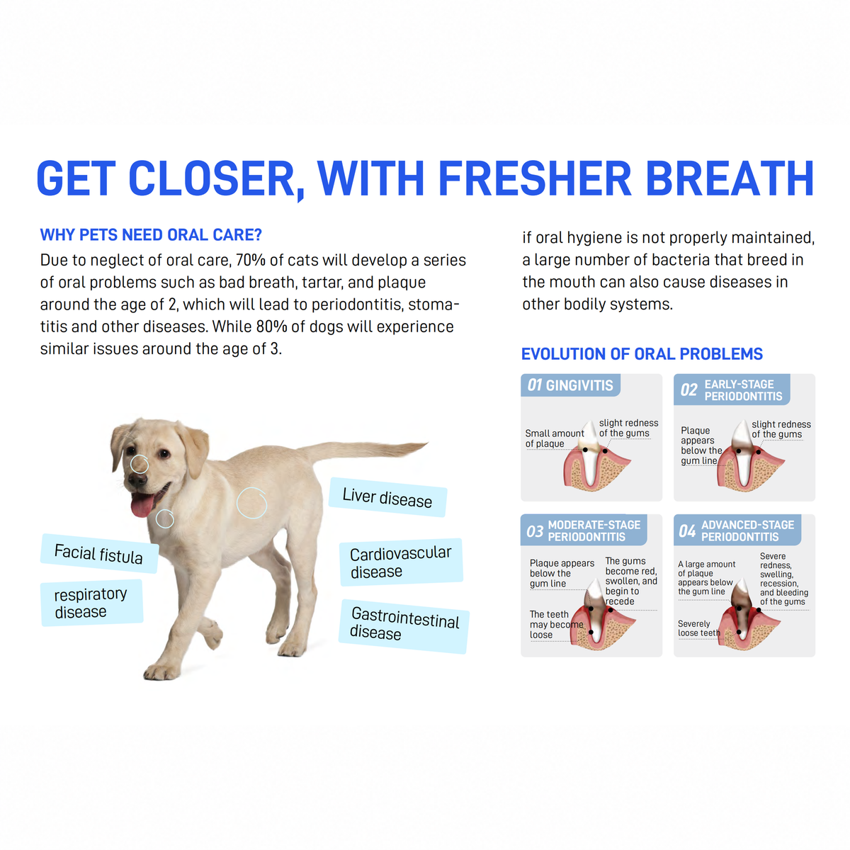 CATURE - Purelab Pet Oral Care Mouthwash Sachet Case 350ml | source media 32960167805090 | content-safe square revision | TEXT_LAYOUT_REBUILD | textLayer=source-pixel-preserved | backgroundMode=locked-center-outpaint | 20260920-v1