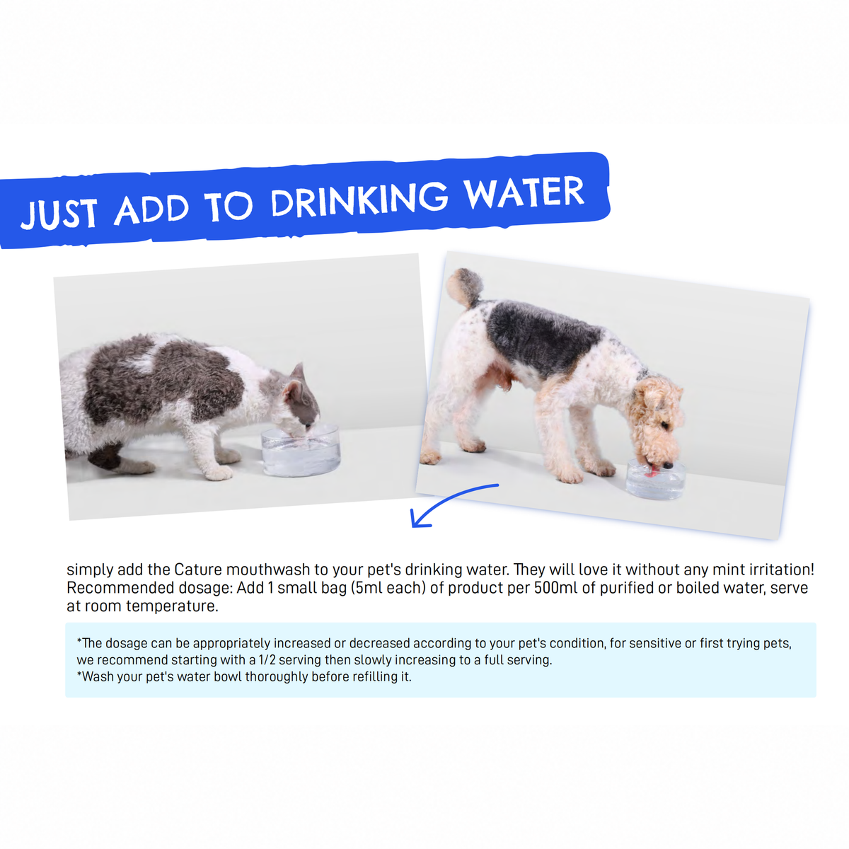 CATURE - Purelab Pet Oral Care Mouthwash Sachet Case 350ml | source media 32960167936162 | content-safe square revision | TEXT_LAYOUT_REBUILD | textLayer=source-pixel-preserved | backgroundMode=locked-center-outpaint | 20260920-v1