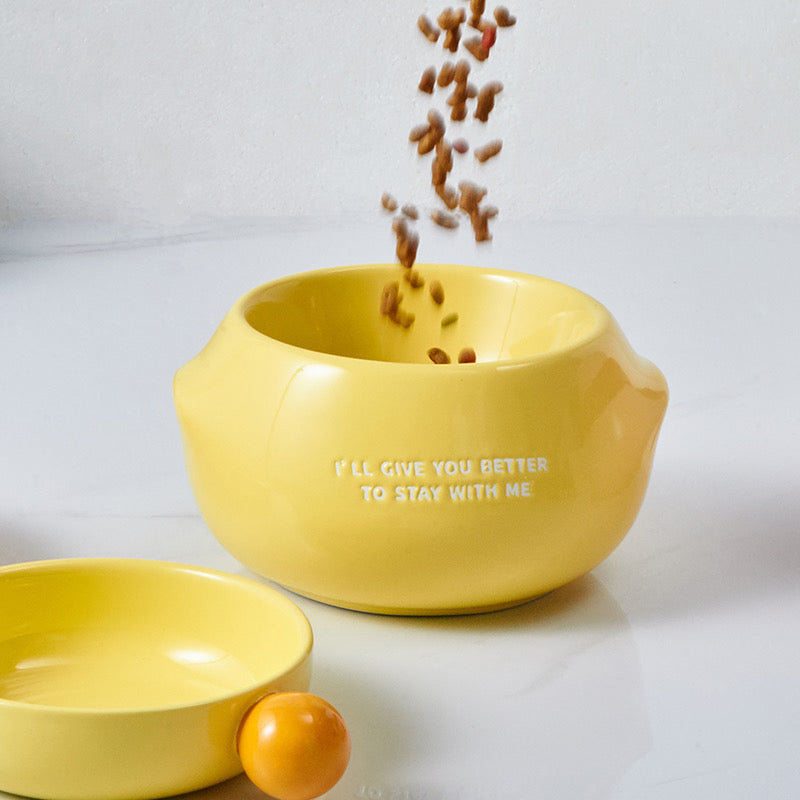 3-in-1 Ceramic Pet Bowl Set