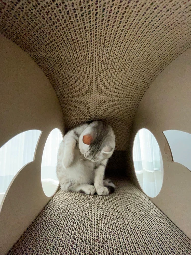 Rainbow Cat Scratcher Cardboard 2-in-1 Multifunctional Cat Scratcher Lounge Bed Cat Scratching Pad for Indoor Cats as Furniture Protector Cat Training Toy