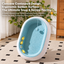 3-in-1 cat scratcher concave contoured design feature