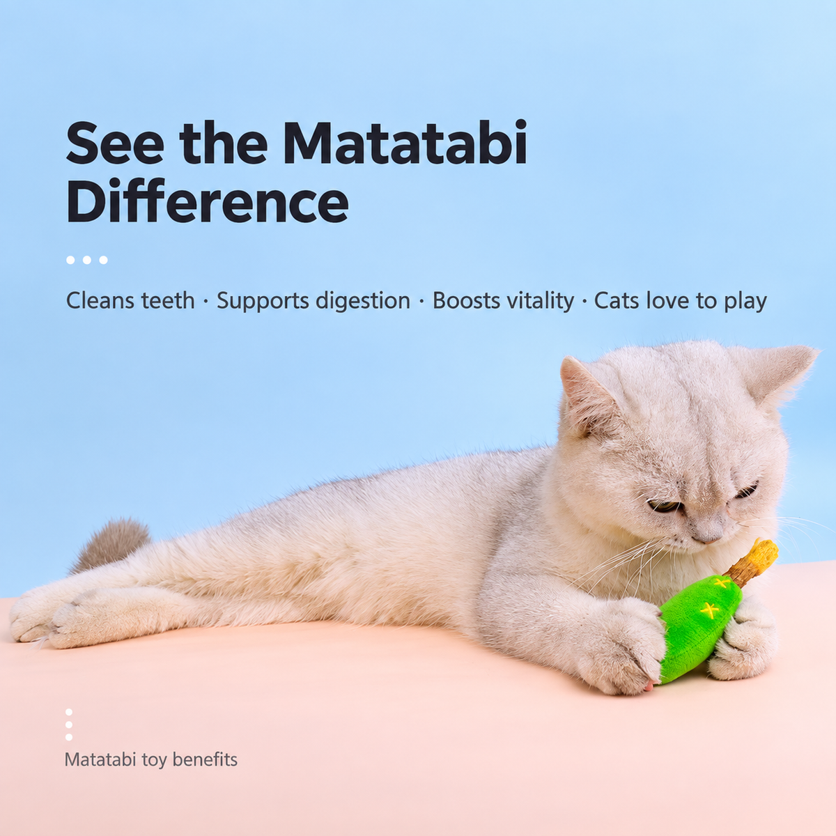 MIAOFAIRY Cactus Cat Toy Gift Set translated detail image 01 | English square graphic