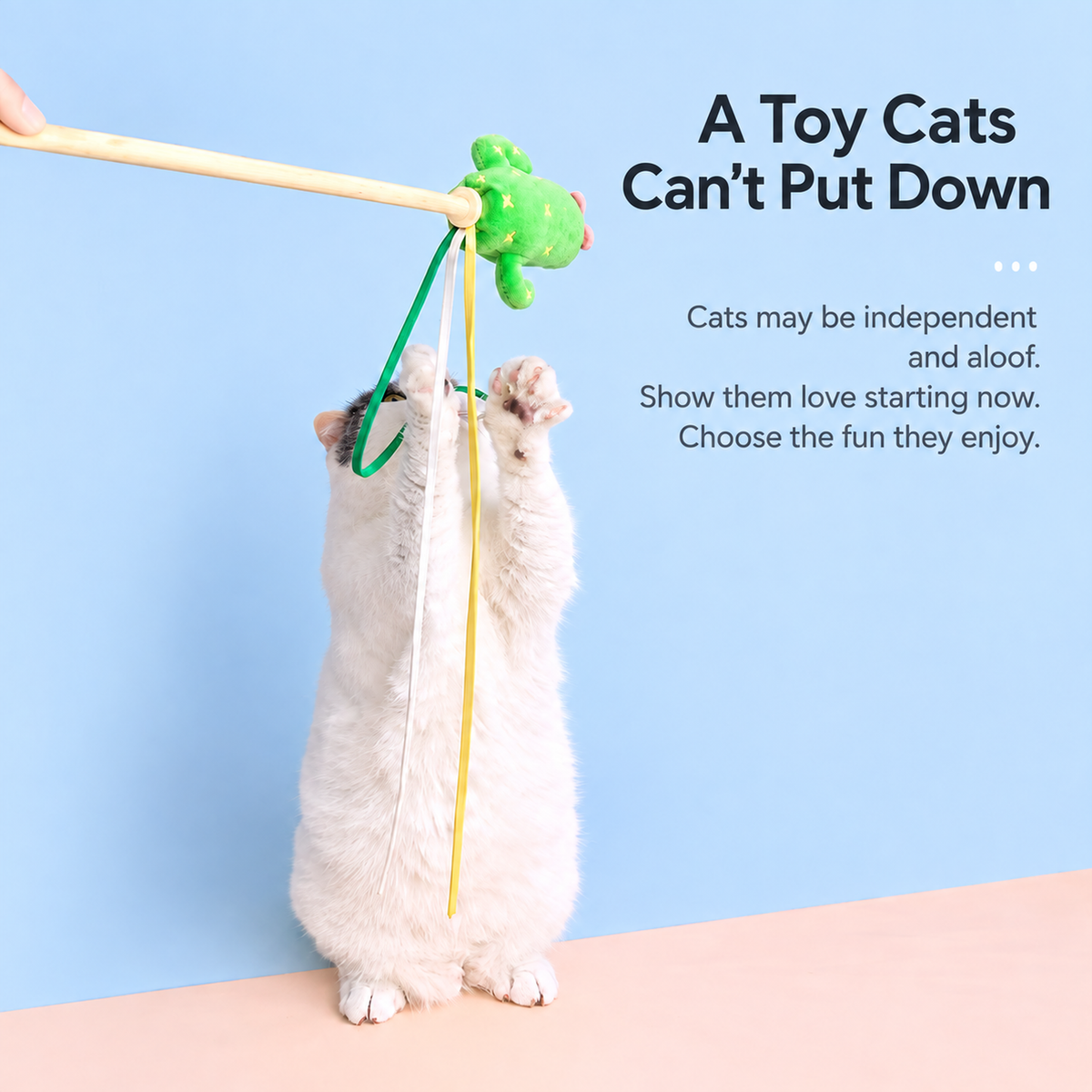 MIAOFAIRY Cactus Cat Toy Gift Set translated detail image 02 | English square graphic