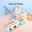MIAOFAIRY Cactus Cat Toy Gift Set translated detail image 05 | English square graphic