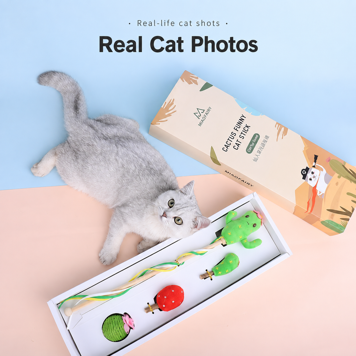 MIAOFAIRY Cactus Cat Toy Gift Set translated detail image 05 | English square graphic
