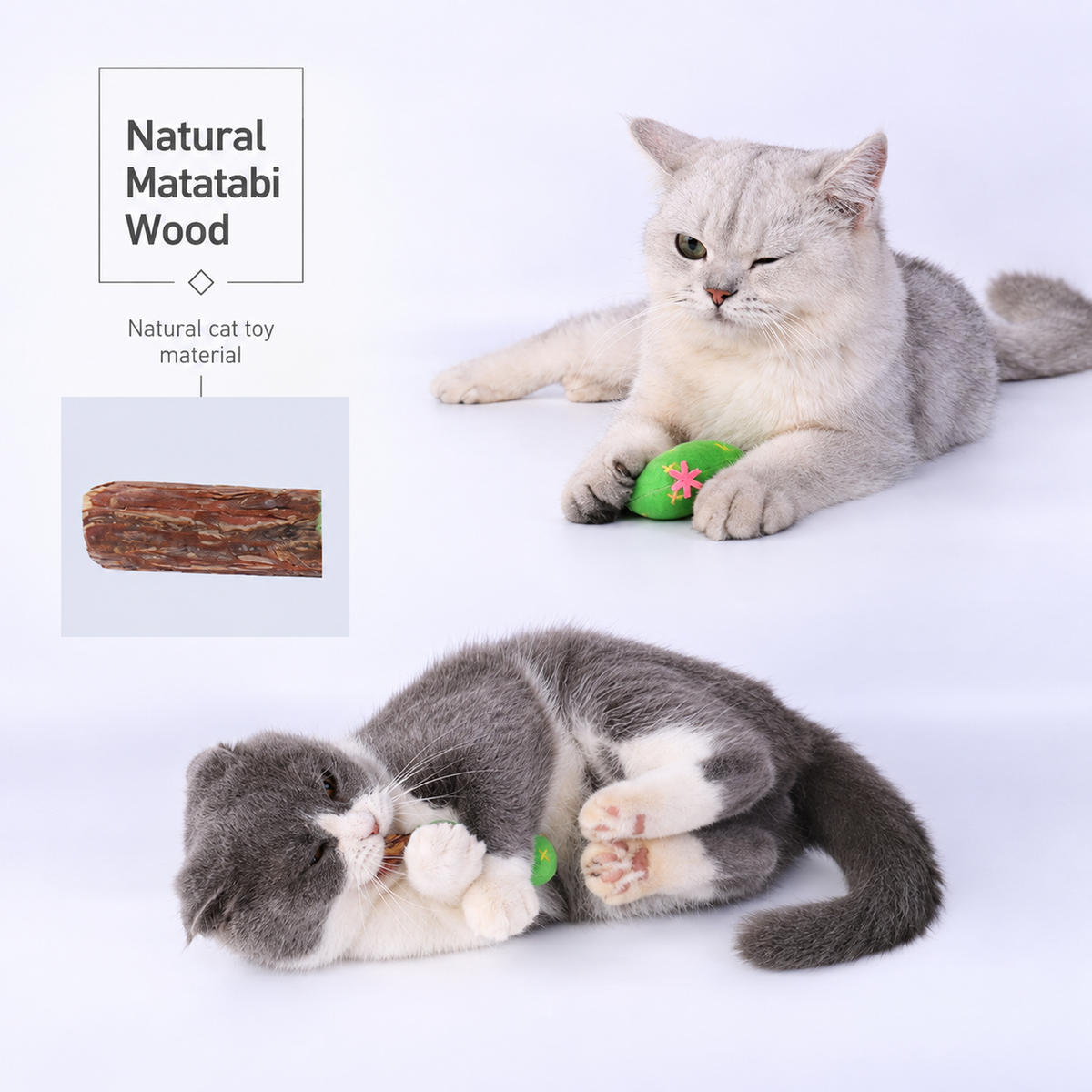 MIAOFAIRY Cactus Cat Toy Gift Set translated detail image 08 | English square graphic