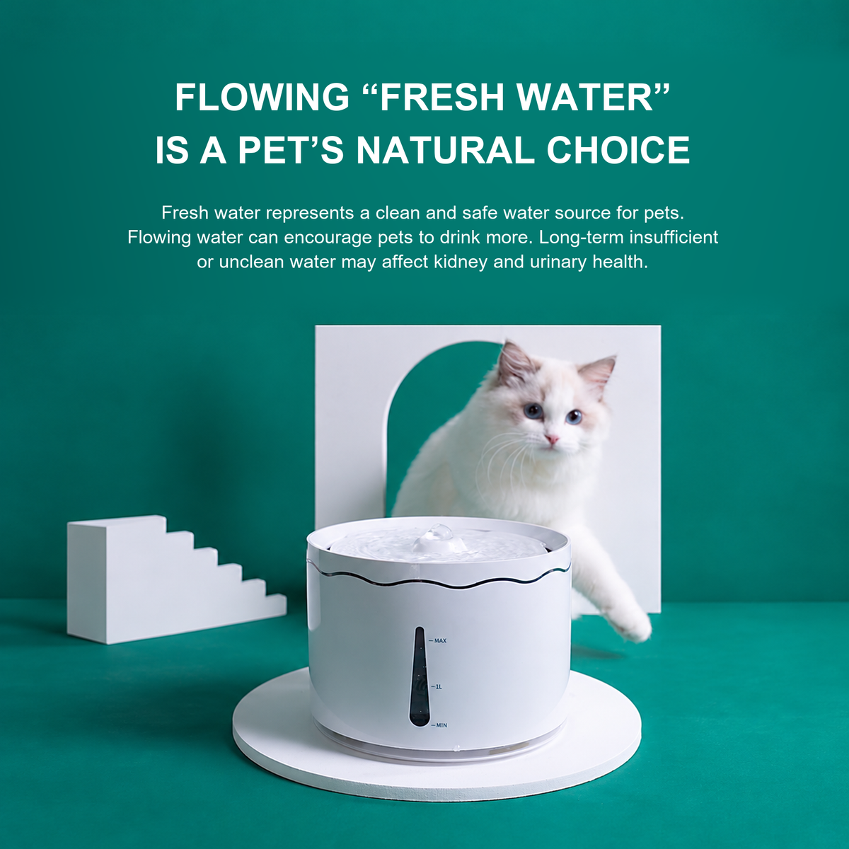 English translated detail module | Module 03 | AIWO Five-Leaf Smart Pet Water Fountain