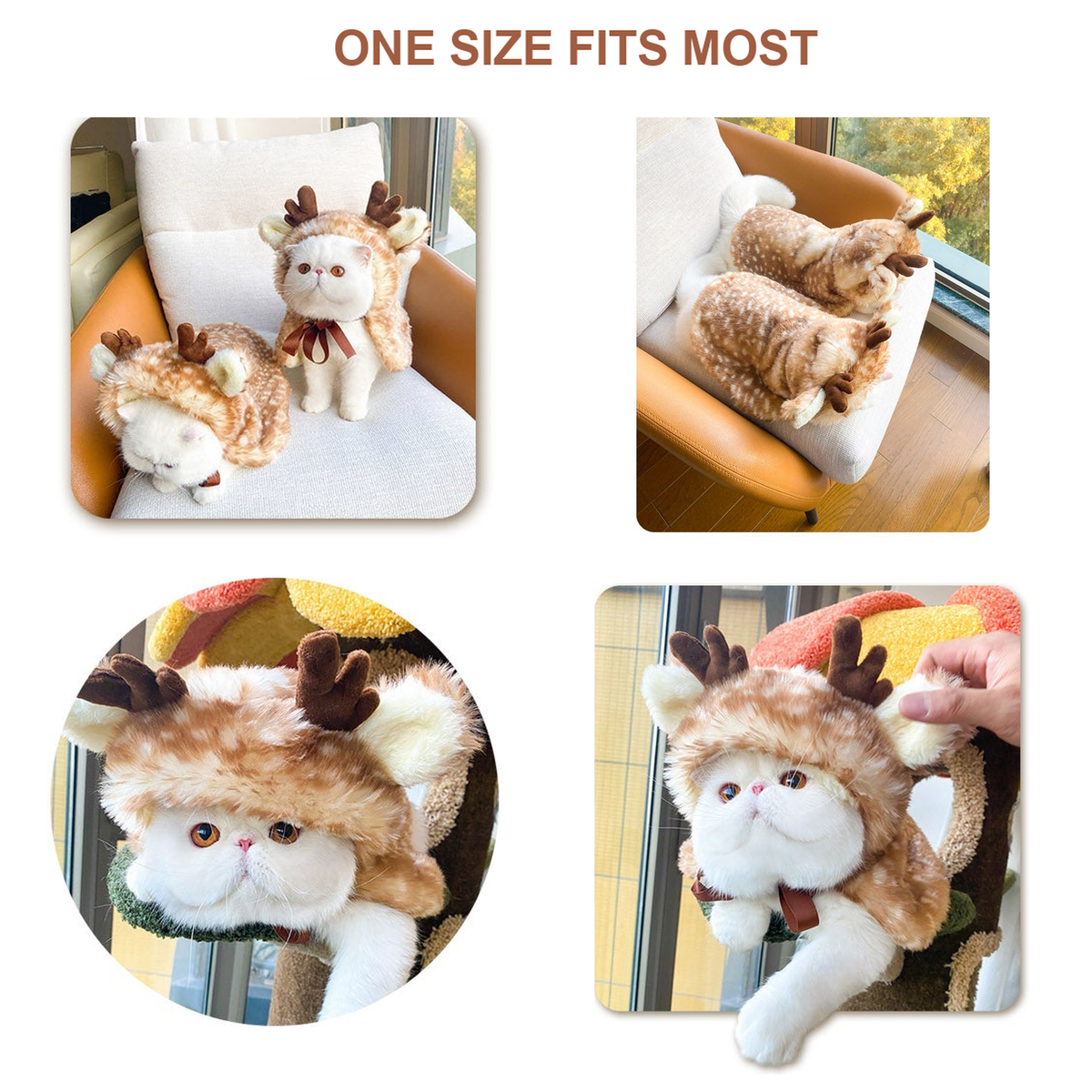 Bigger Fish Deer Cat Cape - English translated detail module 02 - V7
