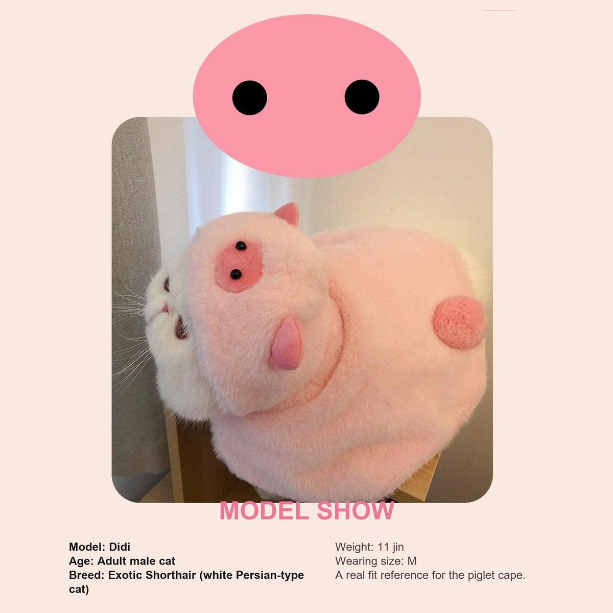 Bigger Fish Piggy Cat Cape - English detail module 02 - corrected v2 2026-10-01