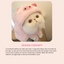 Bigger Fish Piggy Cat Cape - English detail module 03 - corrected v2 2026-10-01