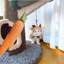 Bigger Fish Deer Cat Cape - English translated detail module 04 - V7