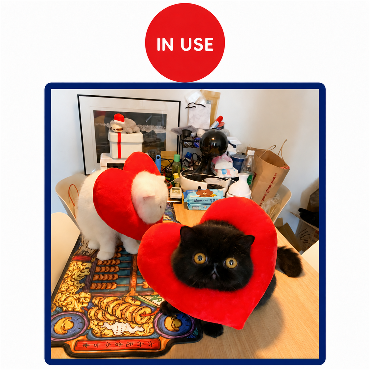 Bigger Fish heart cat Elizabeth collar - English translated detail module 06