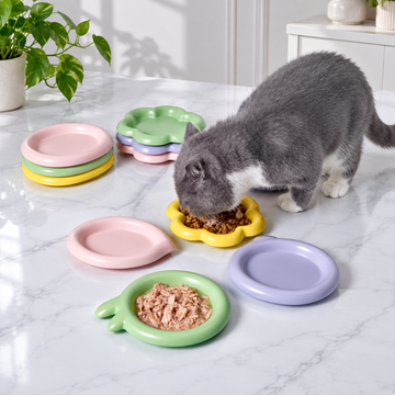 Colorful Ceramic Pet Plates | detail correction 1 | FULL_FRAME_OUTPAINT | collection 20260919
