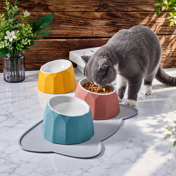 Volcano Dual-Tone Ceramic Pet Bowl | detail correction 1 | FULL_FRAME_OUTPAINT | collection 20260919