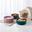 Elegant Ceramic Pet Bowl with Oak Base | detail correction 1 | FULL_FRAME_OUTPAINT | collection 20260919
