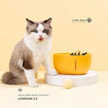 Little Bee Pet Water Fountain | detail correction 1 | FULL_FRAME_OUTPAINT | collection 20260919