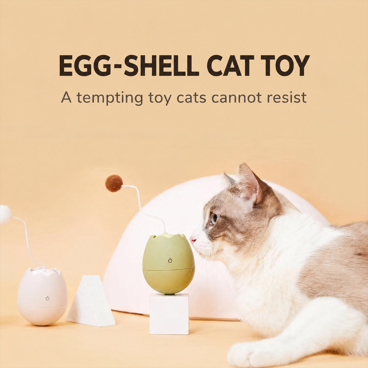 Egg-Shell Automatic Cat Toy - English detail module 1