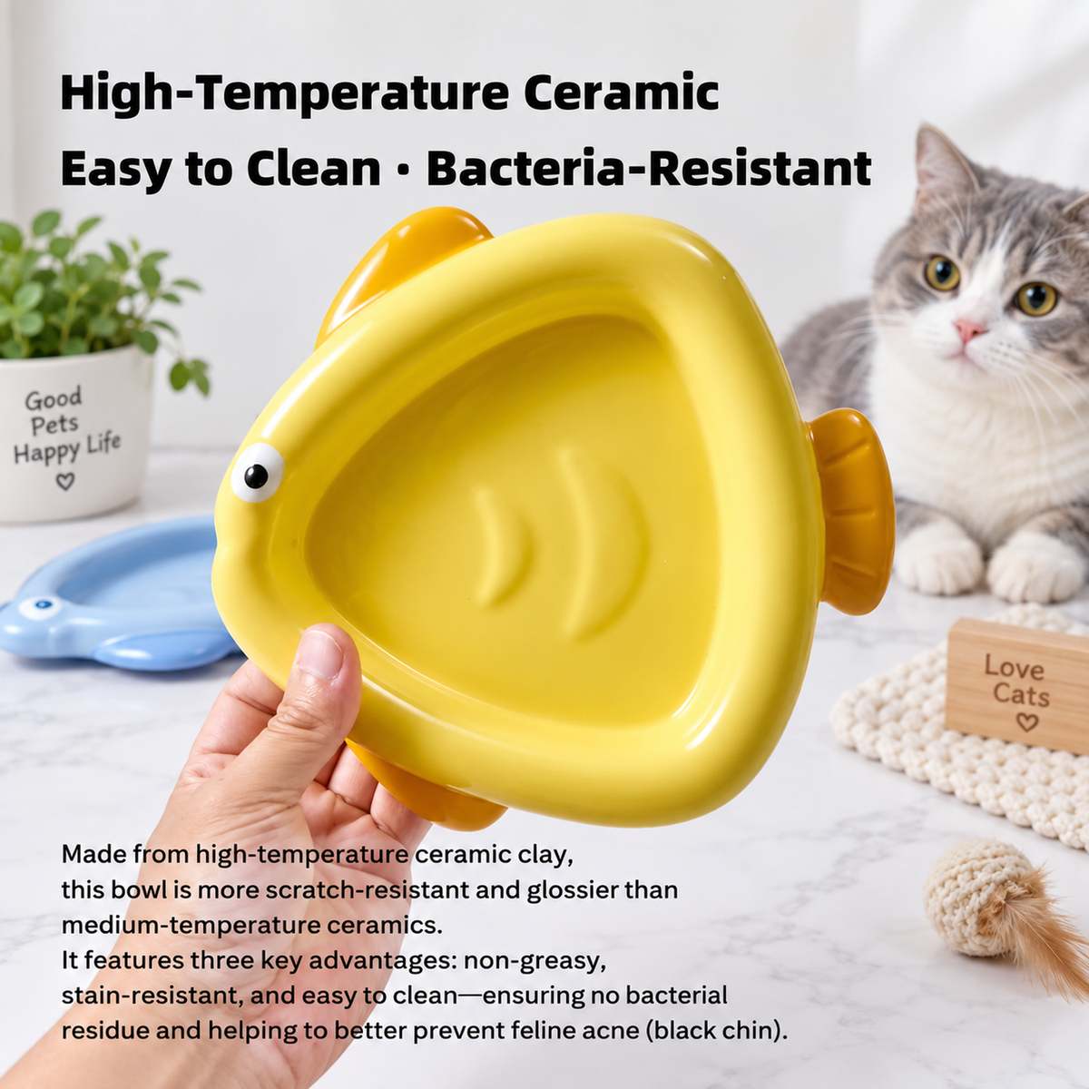 Colorful Ceramic Fish-Shaped Pet Plates | detail correction 2 | TEXT_LAYOUT_REBUILD | collection 20260919