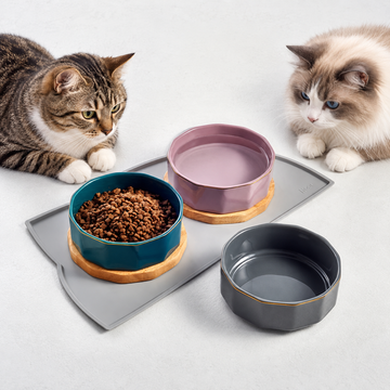 Elegant Ceramic Pet Bowl with Oak Base | detail correction 2 | FULL_FRAME_OUTPAINT | collection 20260919
