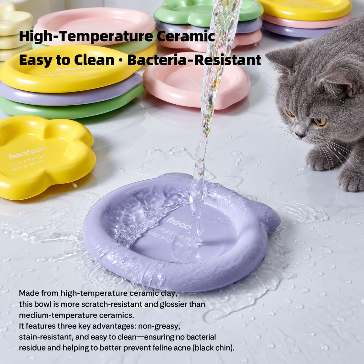 Colorful Ceramic Pet Plates | detail correction 2 | TEXT_LAYOUT_REBUILD | collection 20260919