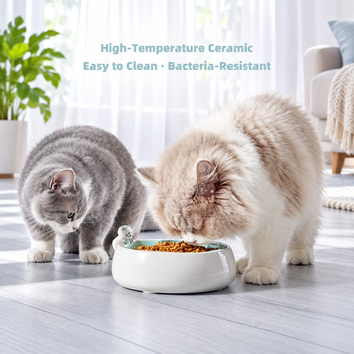 Cat & Sakura Ceramic Pet Bowl | detail correction 2 | TEXT_LAYOUT_REBUILD | collection 20260919