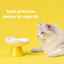 Blooming Flower Ceramic Pet Bowl | detail correction 3 | TEXT_LAYOUT_REBUILD | collection 20260919