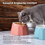 Volcano Dual-Tone Ceramic Pet Bowl | detail correction 3 | TEXT_LAYOUT_REBUILD | collection 20260919